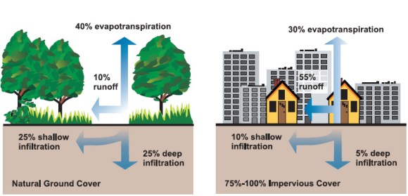 Natural_&_impervious_cover_diagrams_EPA