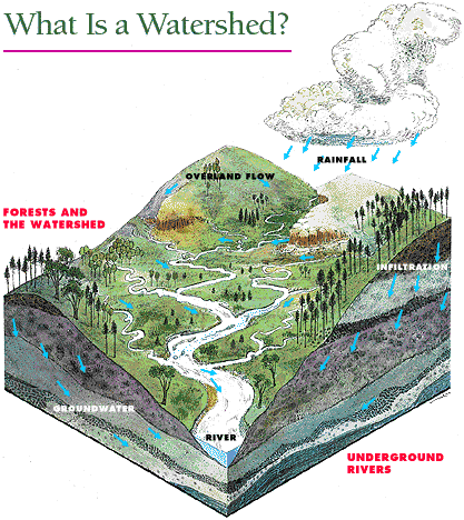 What_is_a_Watershed_rockingham-nc